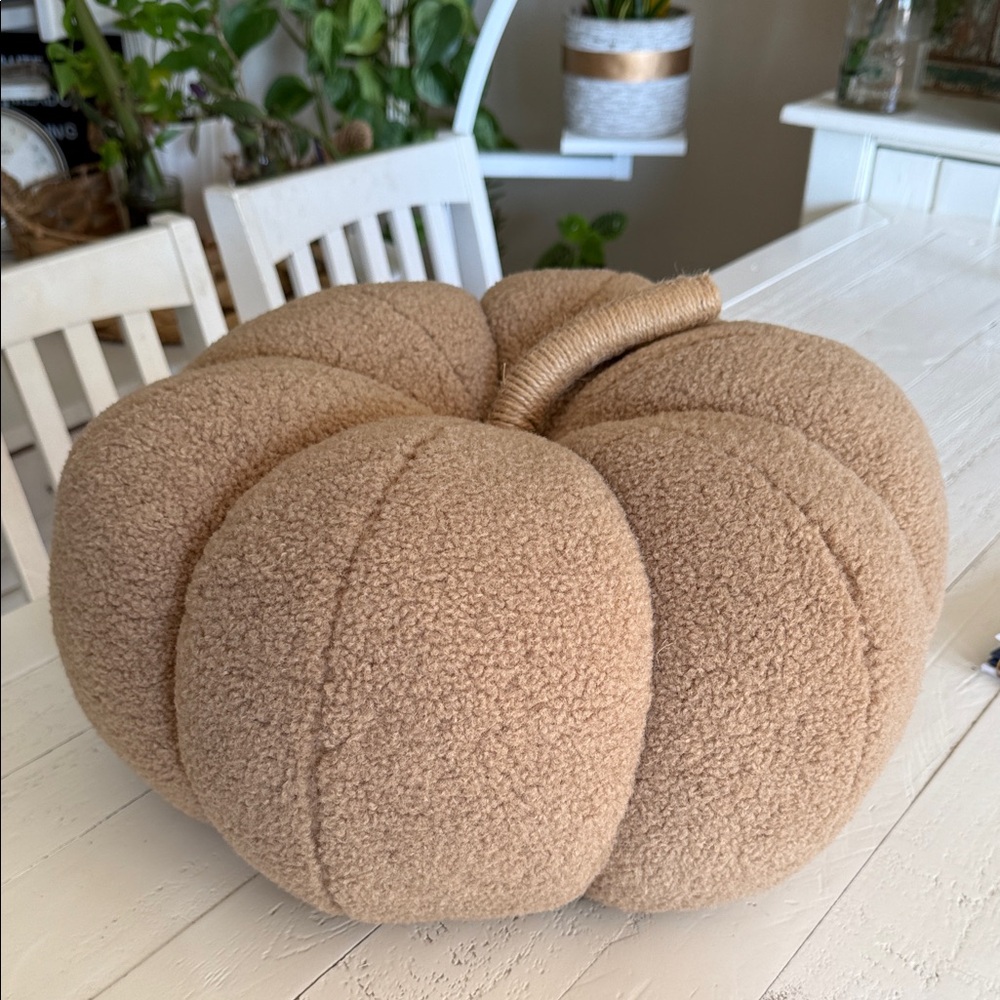 Cozy pumpkin pillow Tan Pumpkin Decor NWOT hallpeeen fall
Home decor